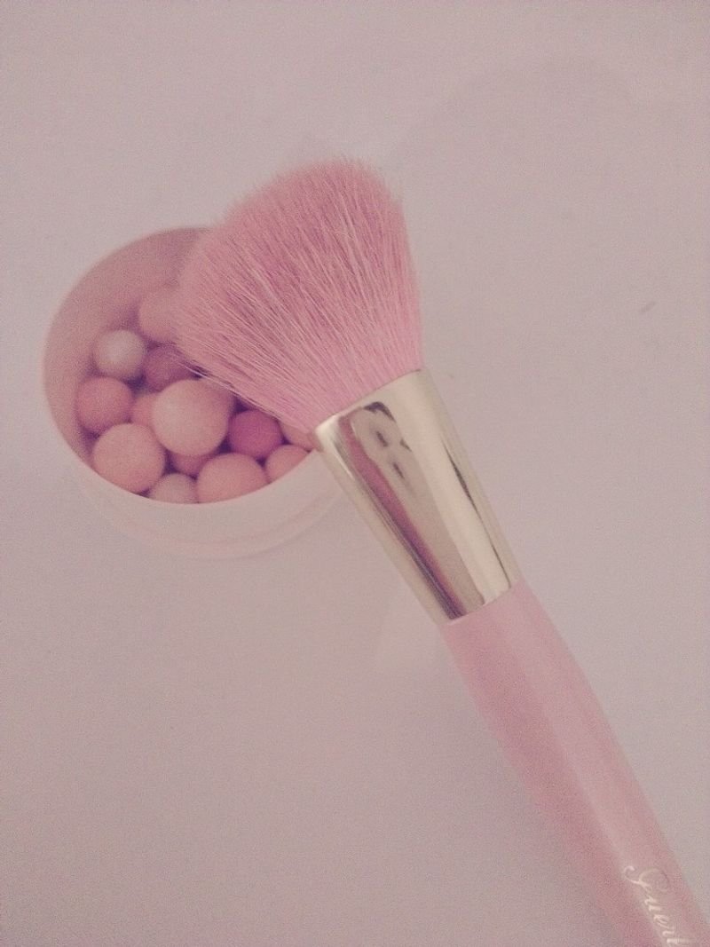 resources of Powder Brush exporters