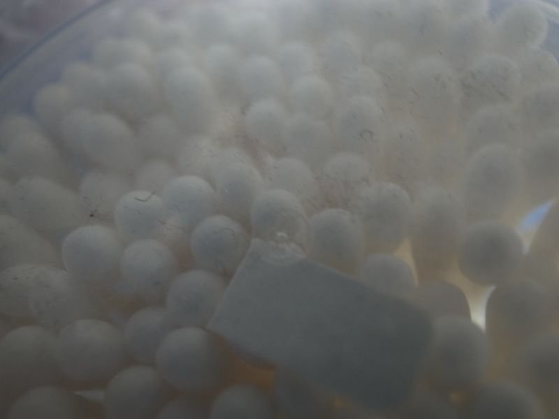 resources of Tapioca Boba Pearls exporters