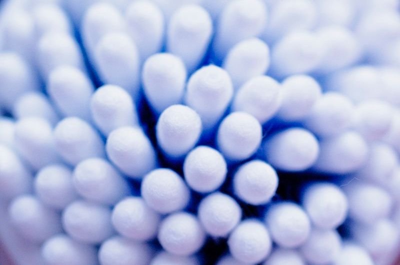 resources of Mentos Pure Fresh exporters resources of Mentos Pure Fresh exporters