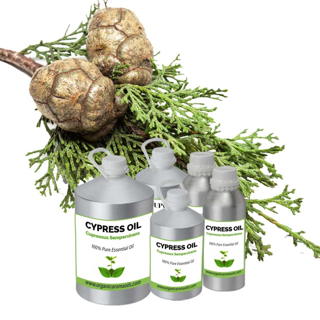 resources of Treemoss Super Abs exporters