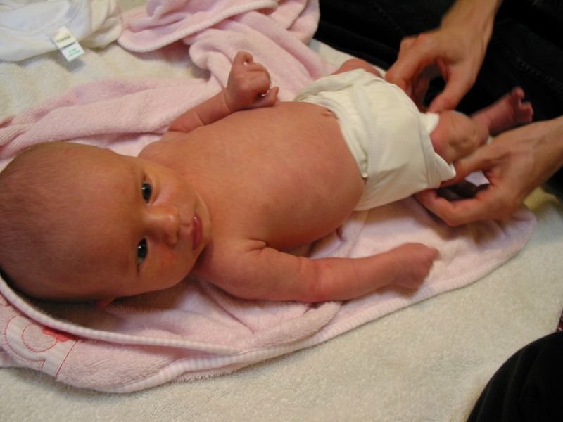 resources of Pampers Baby Dry Diapers exporters