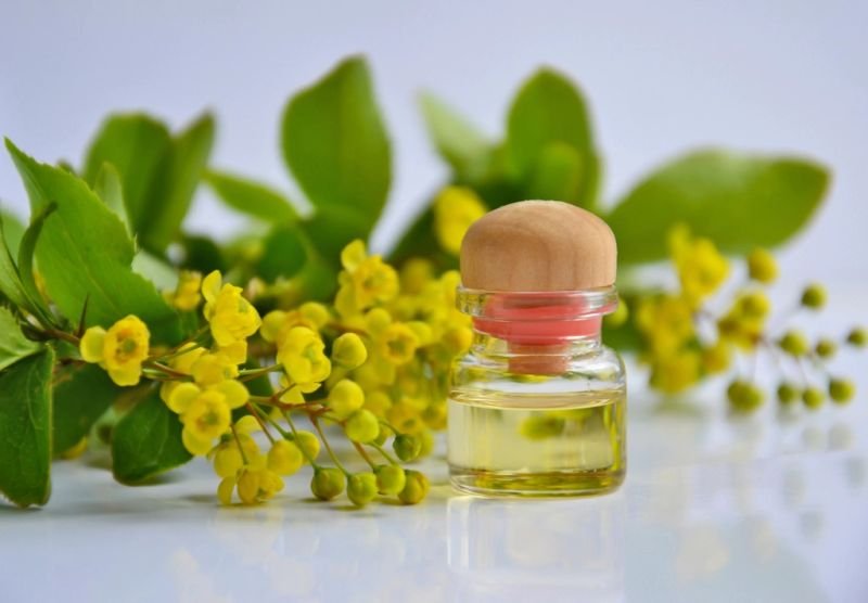 resources of Sugandh Mantri Essential Oil exporters resources of Sugandh Mantri Essential Oil exporters