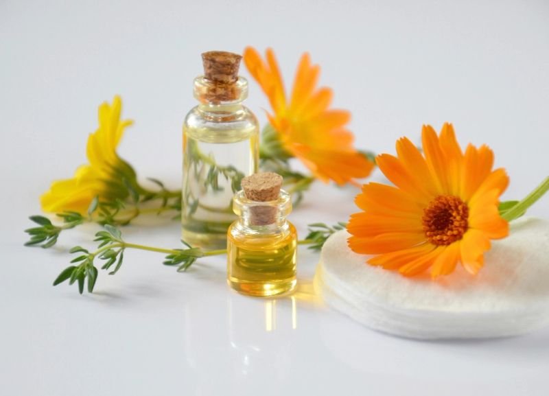 resources of Spruce Black Wild Essential Oil exporters resources of Spruce Black Wild Essential Oil exporters