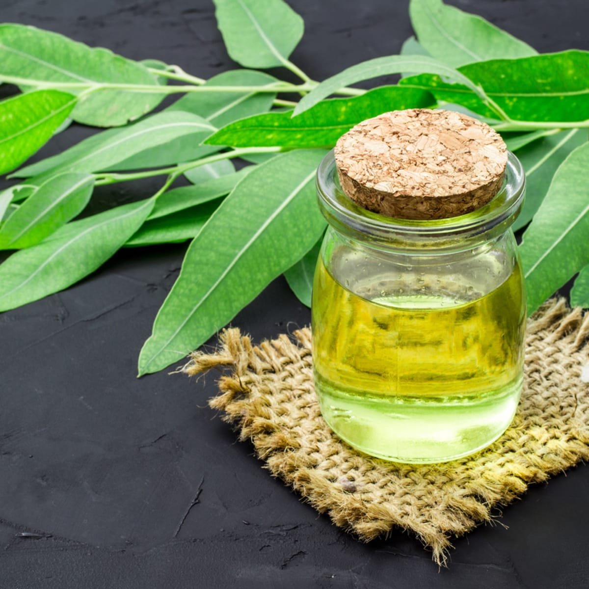 resources of Eucalyptus Globulus 80% Organic Oil exporters resources of Eucalyptus Globulus 80% Organic Oil exporters