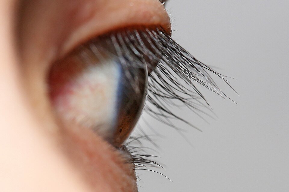 resources of Ardell Demi Wispies False Eyelashes exporters