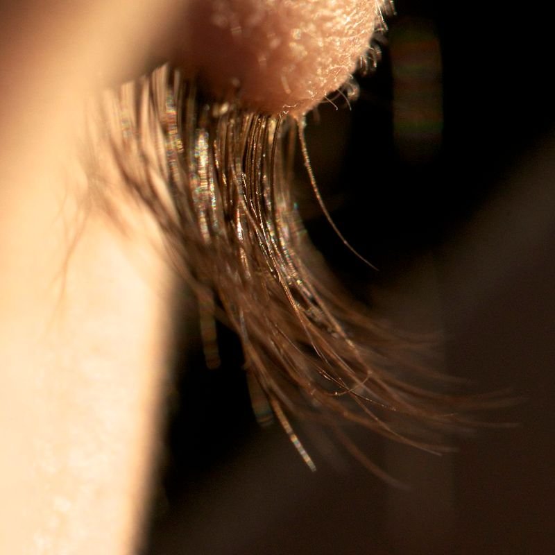 resources of Mink eyelash exporters