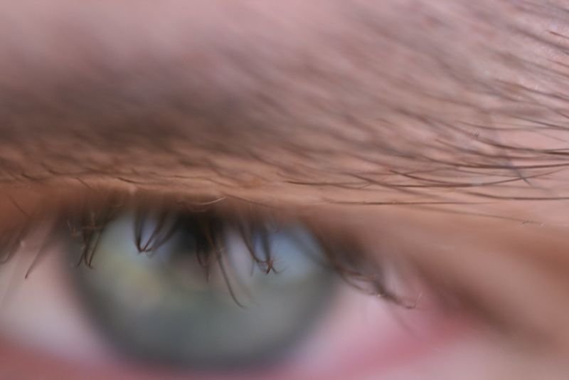 resources of Dark Brown Ibrow & Lash Natural Colour exporters