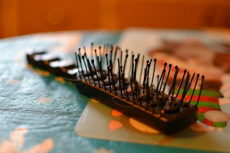 resources of Comb exporters