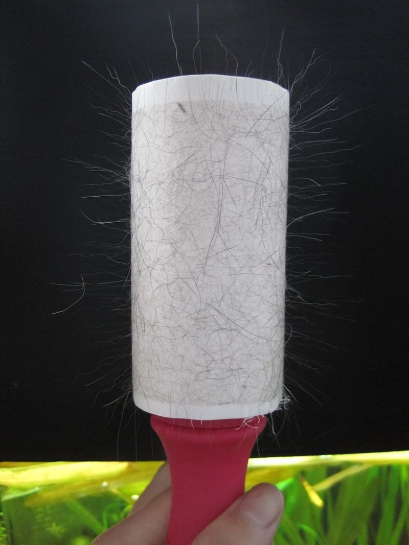 resources of 2015 New Formaldehyde Removal Air Cleaning Cup exporters