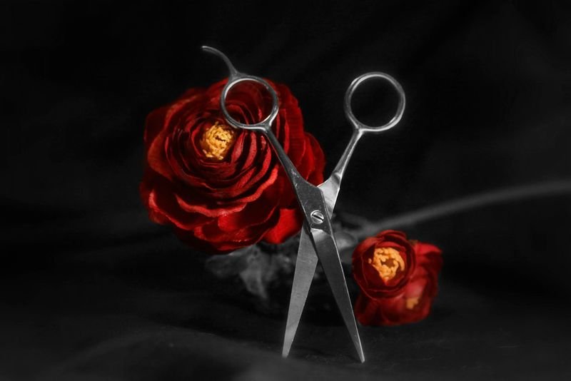 resources of Hair scissors exporters