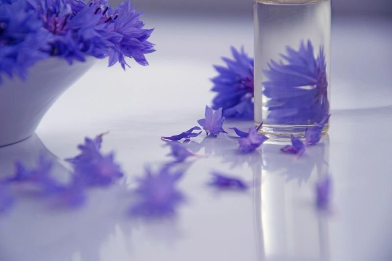 resources of Fragrances for perfumes exporters