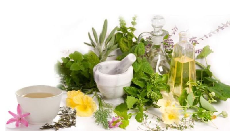 resources of Medicinal Herbs exporters