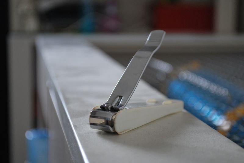 resources of Professional Nail Cutters exporters