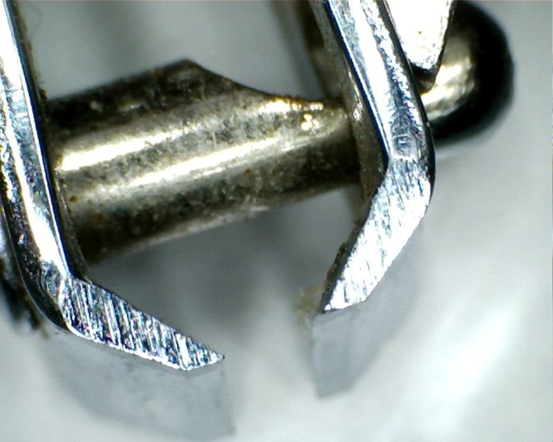 resources of Nail cutters exporters