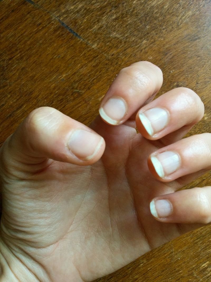 resources of Nail Hardner exporters