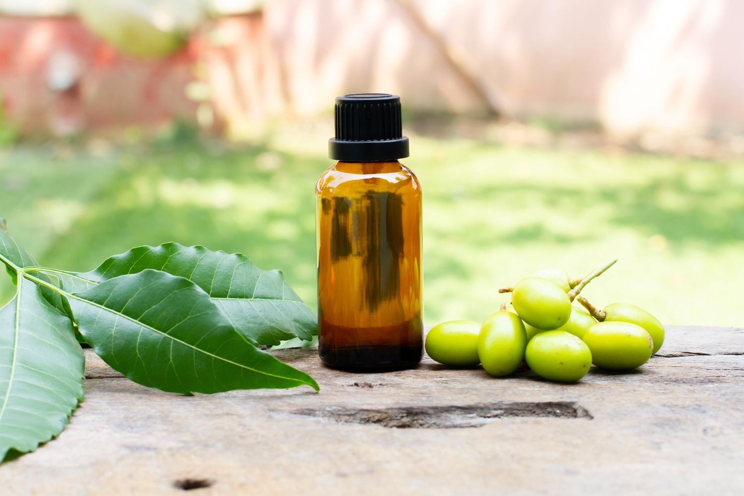 resources of Neem Oil (pharma) exporters