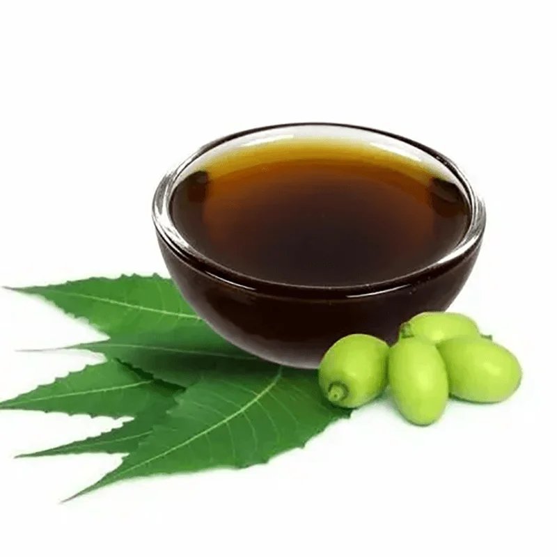 resources of Acai Oil exporters