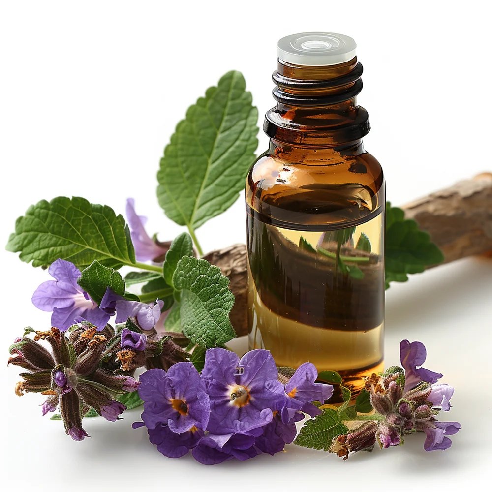 resources of Patchouli Organic Oil exporters resources of Patchouli Organic Oil exporters