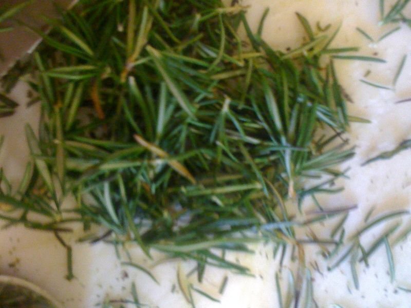 resources of PVC/PET Pine Needles for Christmas Tree exporters