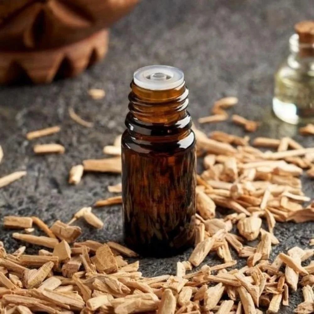 resources of Angelica Root Oil exporters