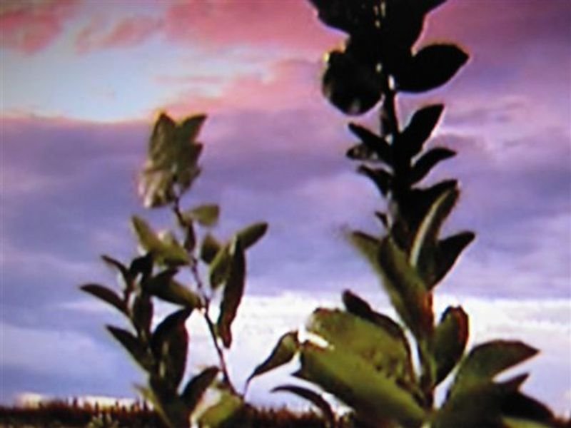 resources of 3d lenticular stereotropic and flipping greeting exporters resources of 3d lenticular stereotropic and flipping greeting exporters