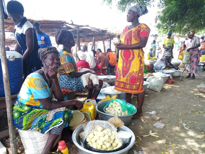 resources of food serving thela exporters