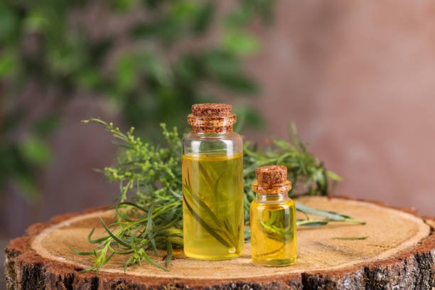resources of Citronella Oil exporters