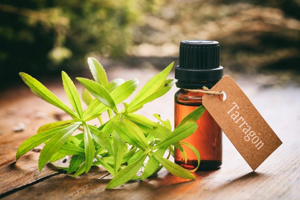resources of Beard Care Oil - New Well exporters