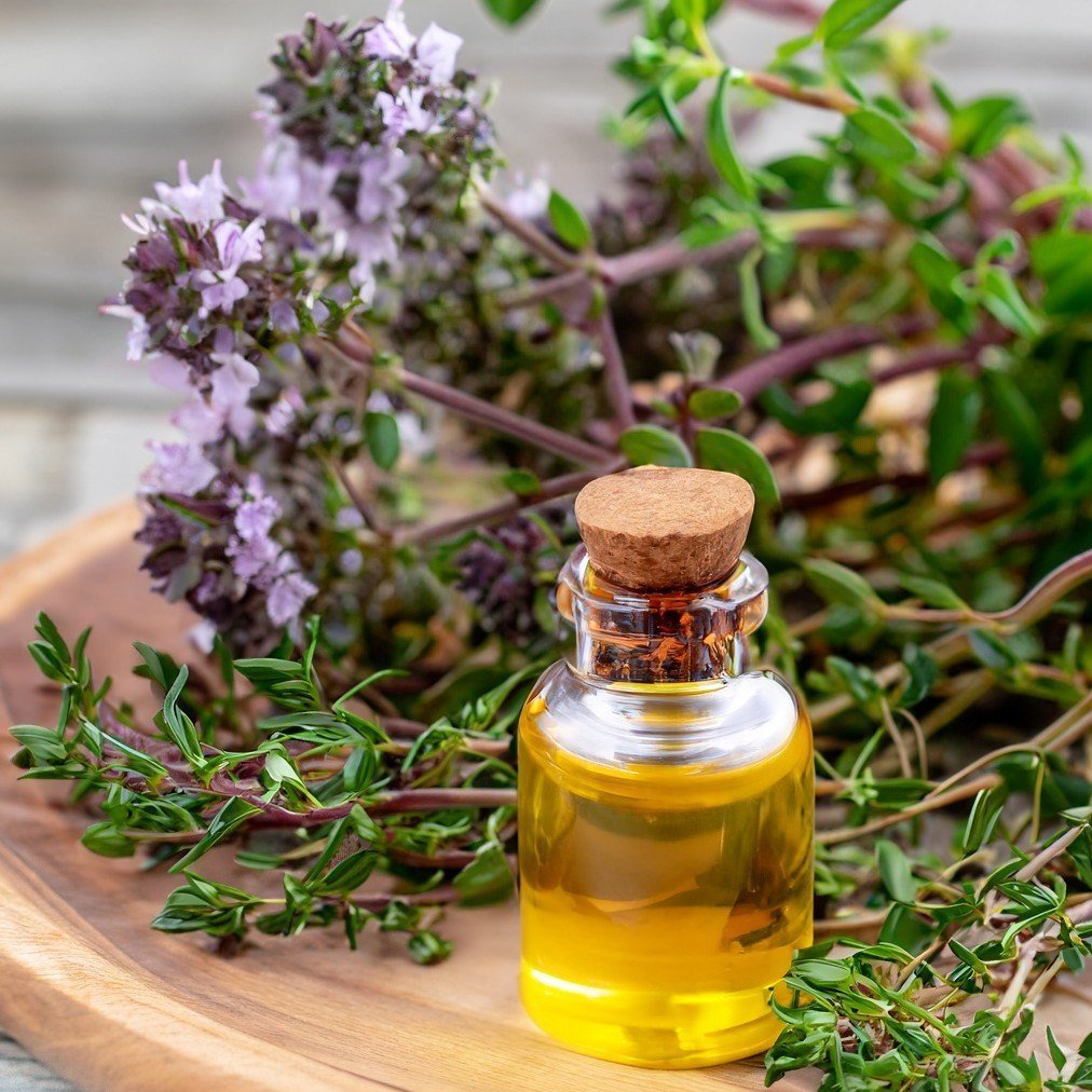 resources of Lavender Essential Oil exporters
