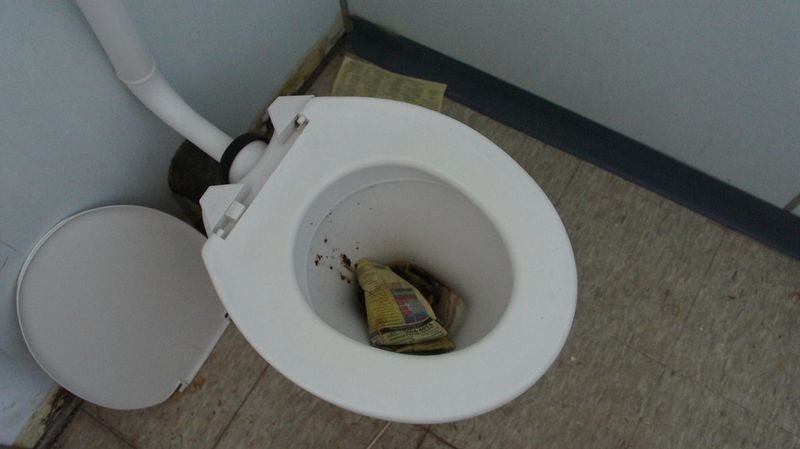 resources of Charmin-Toilet Paper Ultra Strong Clean Touch exporters