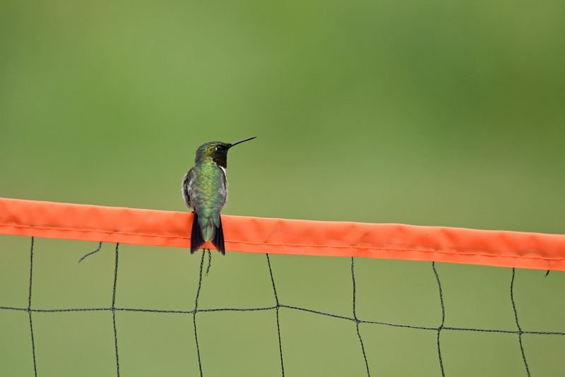 resources of Hummer exporters