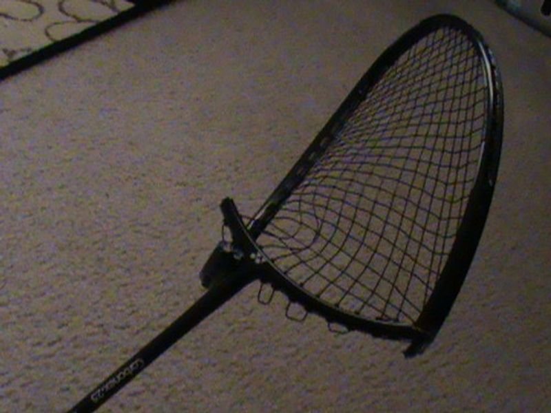 resources of Lacrosse exporters