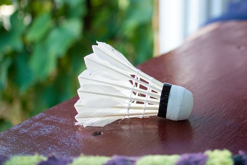 resources of Household Tampico Brush exporters
