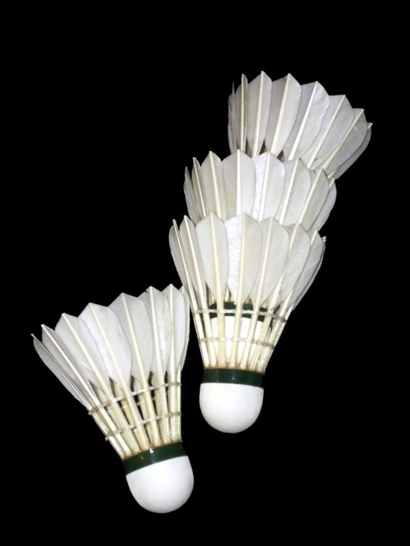 resources of Bamboo Pendant Light exporters resources of Bamboo Pendant Light exporters