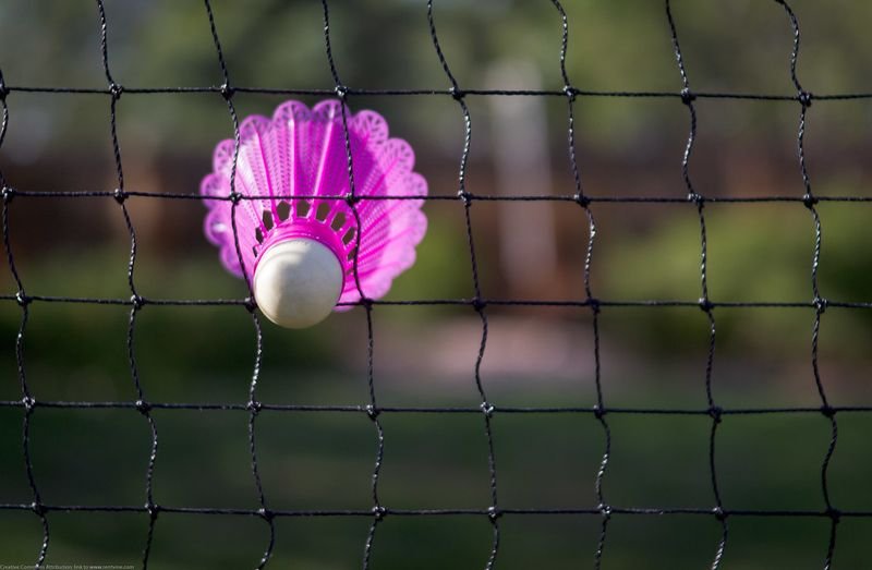 resources of Discus Cage & Hammer Net QSICO exporters
