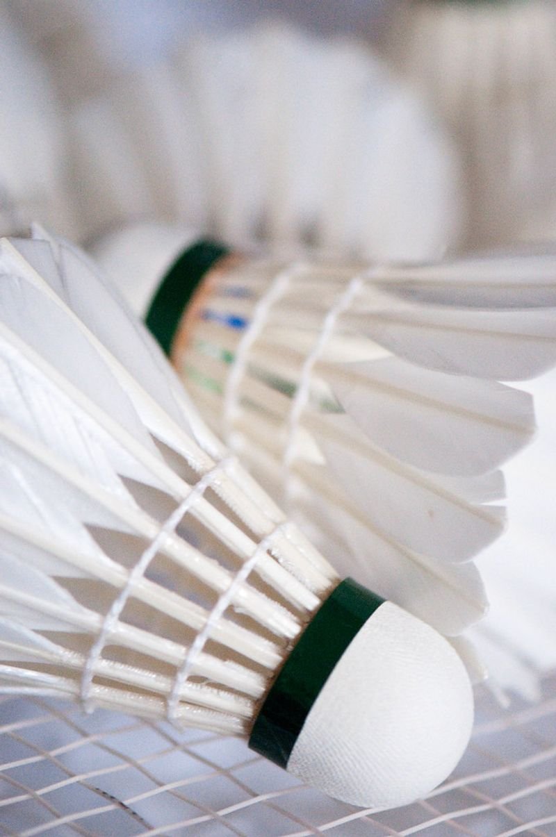 resources of Palm Leaves Hand Fan exporters