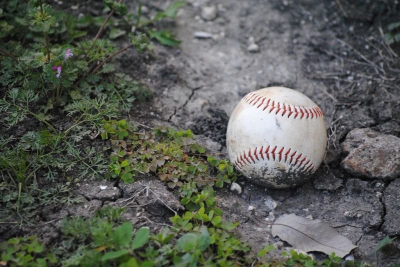 resources of Baseball exporters