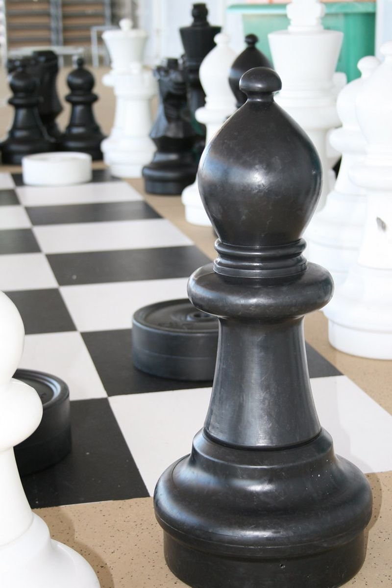 resources of Xlarge Size of Chess Board exporters