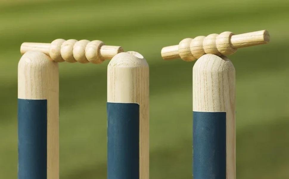 resources of Bamboo Baseball Bats exporters