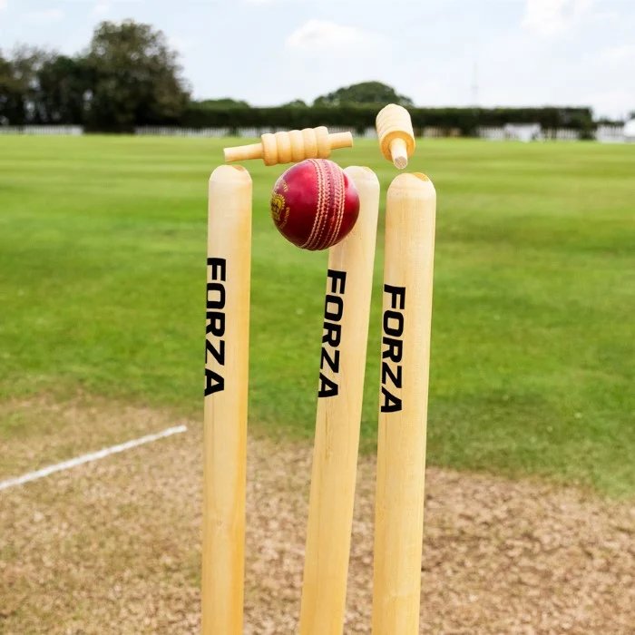 resources of Plain Kashmir Willow Grade 1 Quality Bats exporters