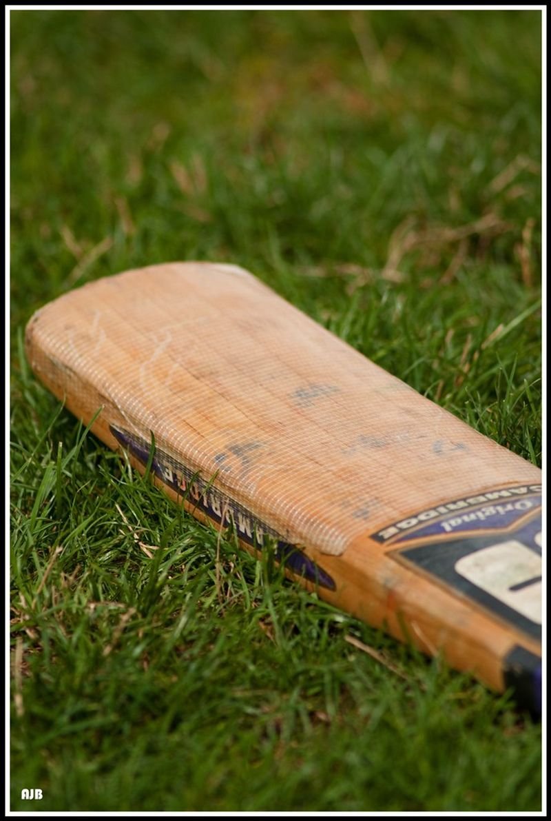 resources of English Willow Cricket Bat exporters