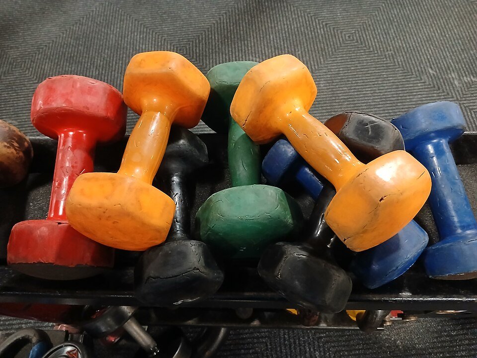 resources of Neoprene Dumbbells exporters