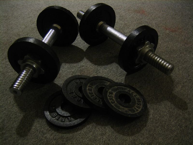 resources of Wrist weight exporters