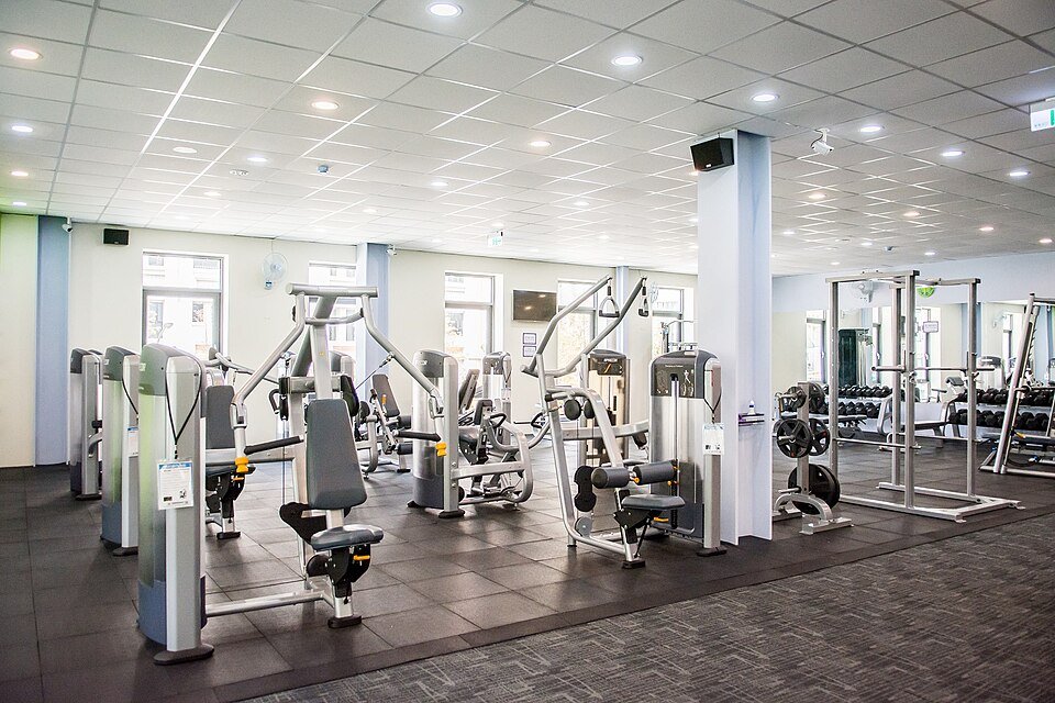Fitness Equipments Exporters, Wholesaler & Manufacturer | Globaltradeplaza.com