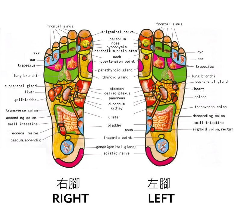 resources of OEM foot detox foot patch exporters