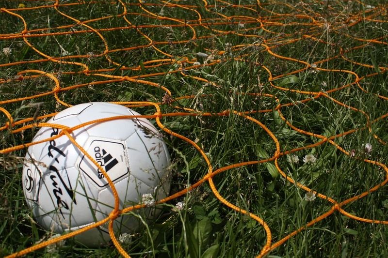 resources of Knotted bird netting - protect agriculture from exporters