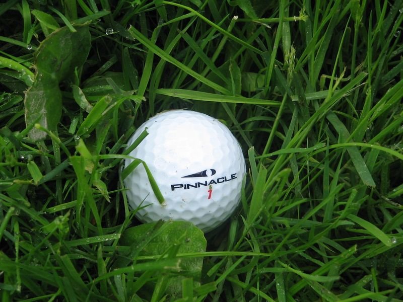resources of Speed Balls exporters