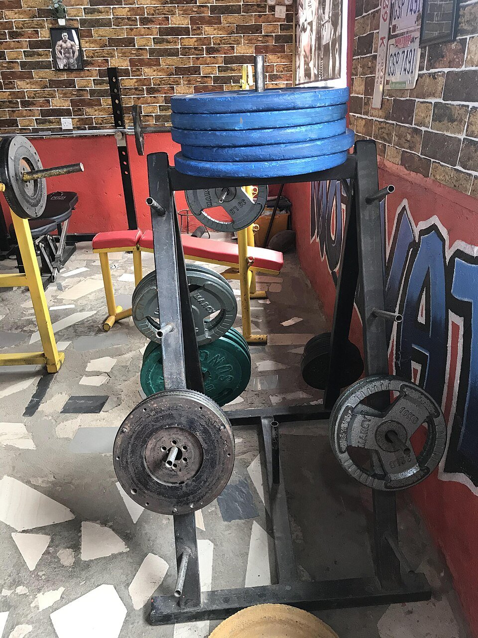 Gym Plates Exporters, Wholesaler & Manufacturer | Globaltradeplaza.com