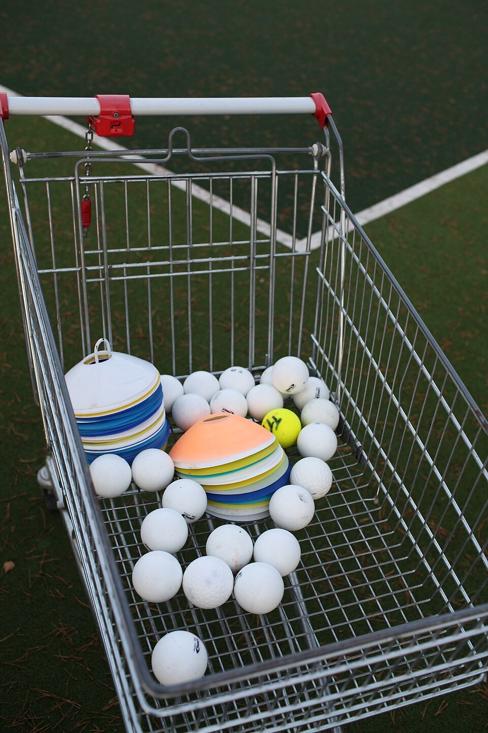 Hockey Balls Exporters, Wholesaler & Manufacturer | Globaltradeplaza.com