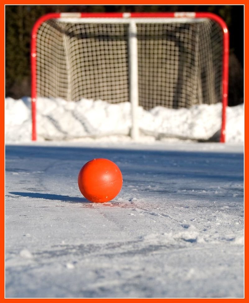 resources of Hockey Dimple Ball Elite exporters